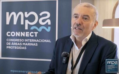 Vídeo: Eliécer Cruz nos ofrece un resumen de su ponencia en MPA Connect 2025