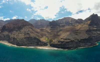 Programa de las ‘Jornadas de puesta en común de iniciativas y propuestas de nuevas áreas y valores a proteger en la Demarcación Marina de Canarias’