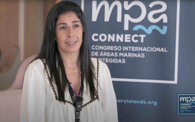 Vídeo: resumen de la intervención de Marta Marrero en MPA Connect 2025