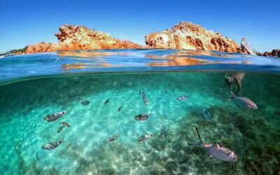 Se pone en marcha en Europa la elección de expertos del Consejo del Océano