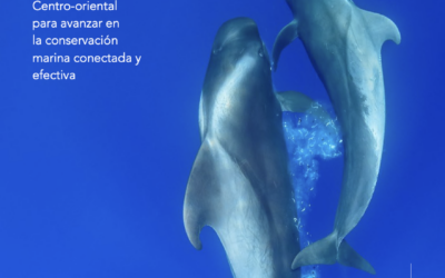 MPA Canary Islands publica su informe sobre el Estado de las Áreas Marinas Protegidas en Canarias