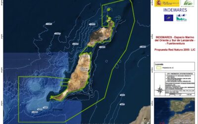 MPA Canary Islands informa sobre la consulta pública de los LIC’s propuestos en el archipiélago