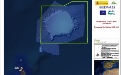 Enlace a inscripción a la jornada informativa sobre nuevos Lugares de Interés Comunitario en aguas canarias