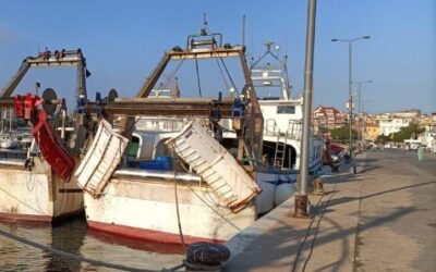 El MAPA premia a la flota de arrastre que reduzca el contacto con el fondo del mar