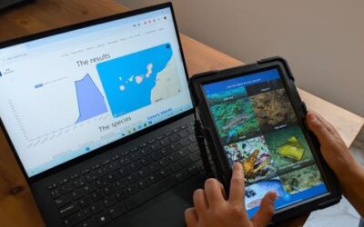 Nueva red de centros de buceo para estudiar la biodiversidad marina en Canarias